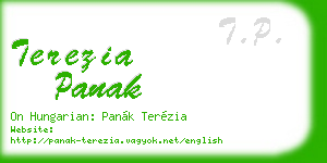 terezia panak business card